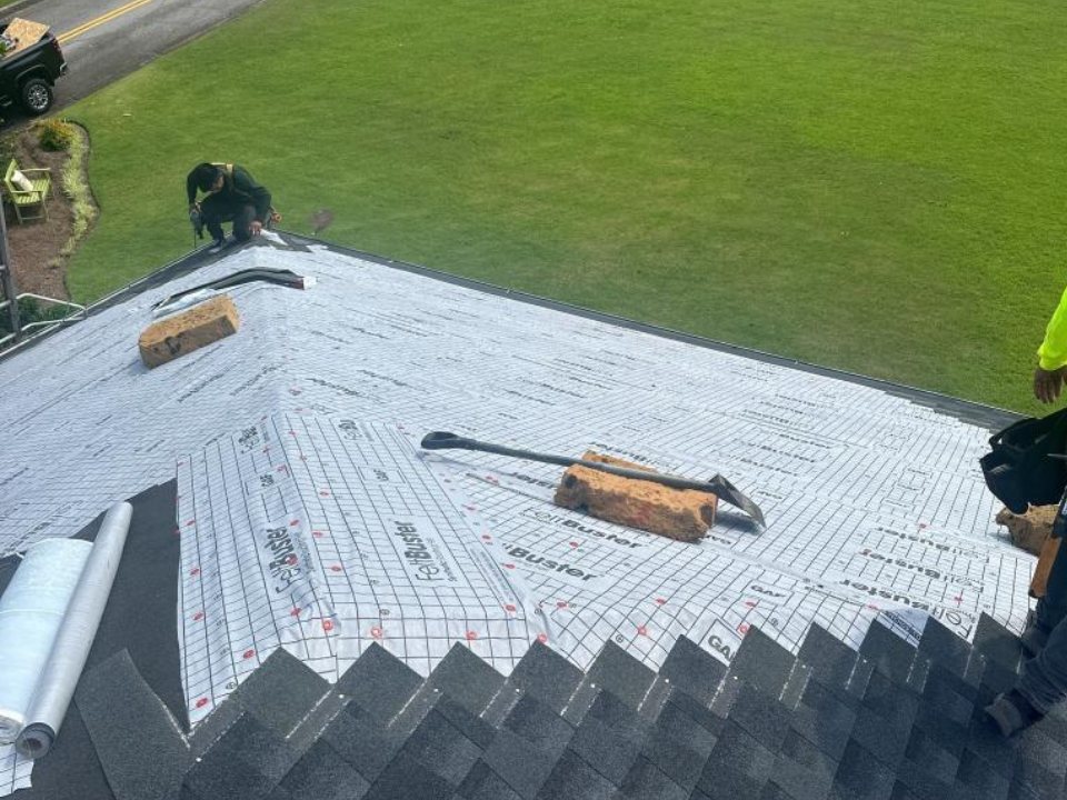 roof inspection (1)